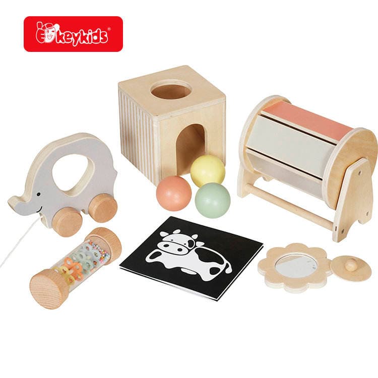 6-in-1 Montessori Wooden Sensory Play Kit Educational Toys