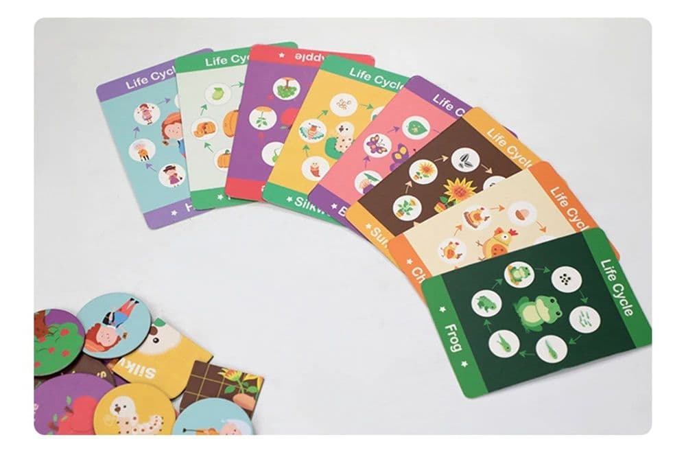 Childhood Educational Toys Puzzles Magnetic Learning Life Cycle Puzzles